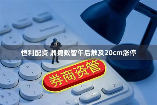 恒利配资 鼎捷数智午后触及20cm涨停