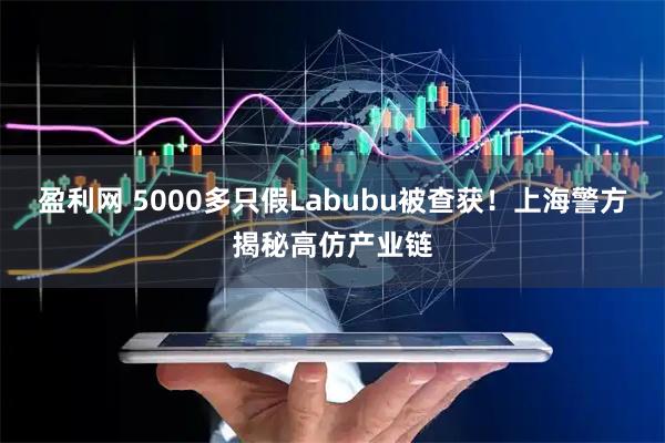 盈利网 5000多只假Labubu被查获！上海警方揭秘高仿产业链