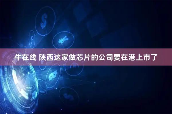牛在线 陕西这家做芯片的公司要在港上市了