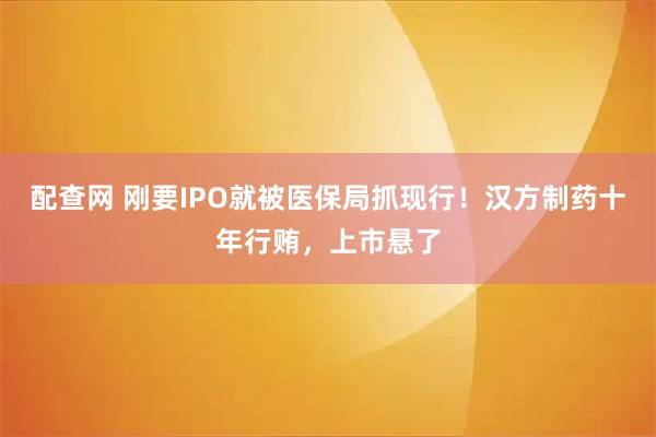 配查网 刚要IPO就被医保局抓现行！汉方制药十年行贿，上市悬了