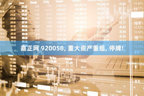 嘉正网 920058, 重大资产重组, 停牌!